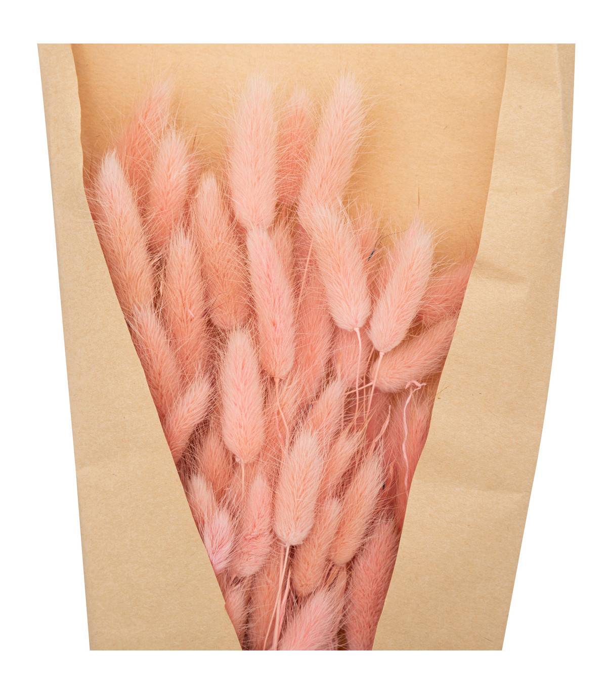 Atmosphera - Bouquet de Fleurs Séchées Queue de Lapin Rose D. 18 x H. 58 cm - Image 2