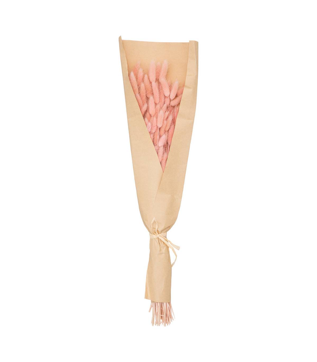 Atmosphera - Bouquet de Fleurs Séchées Queue de Lapin Rose D. 18 x H. 58 cm - Image 1