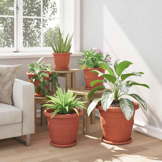 Prolenta Premium - Jardinière plastique rouge 23,5 x 23,5 x 2,5 cm - Prolenta premium p314.1 - Image 4
