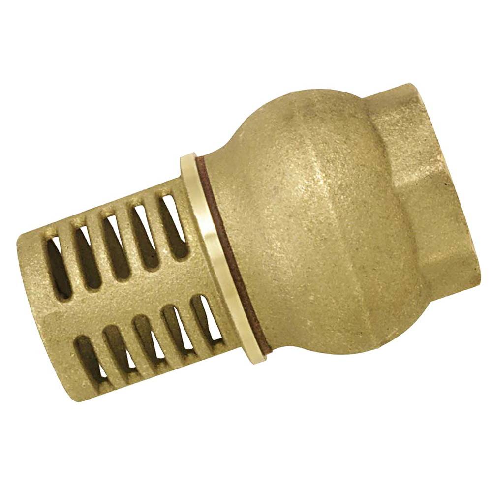 Crépine laiton femelle 50x60 de filtration Boutté
