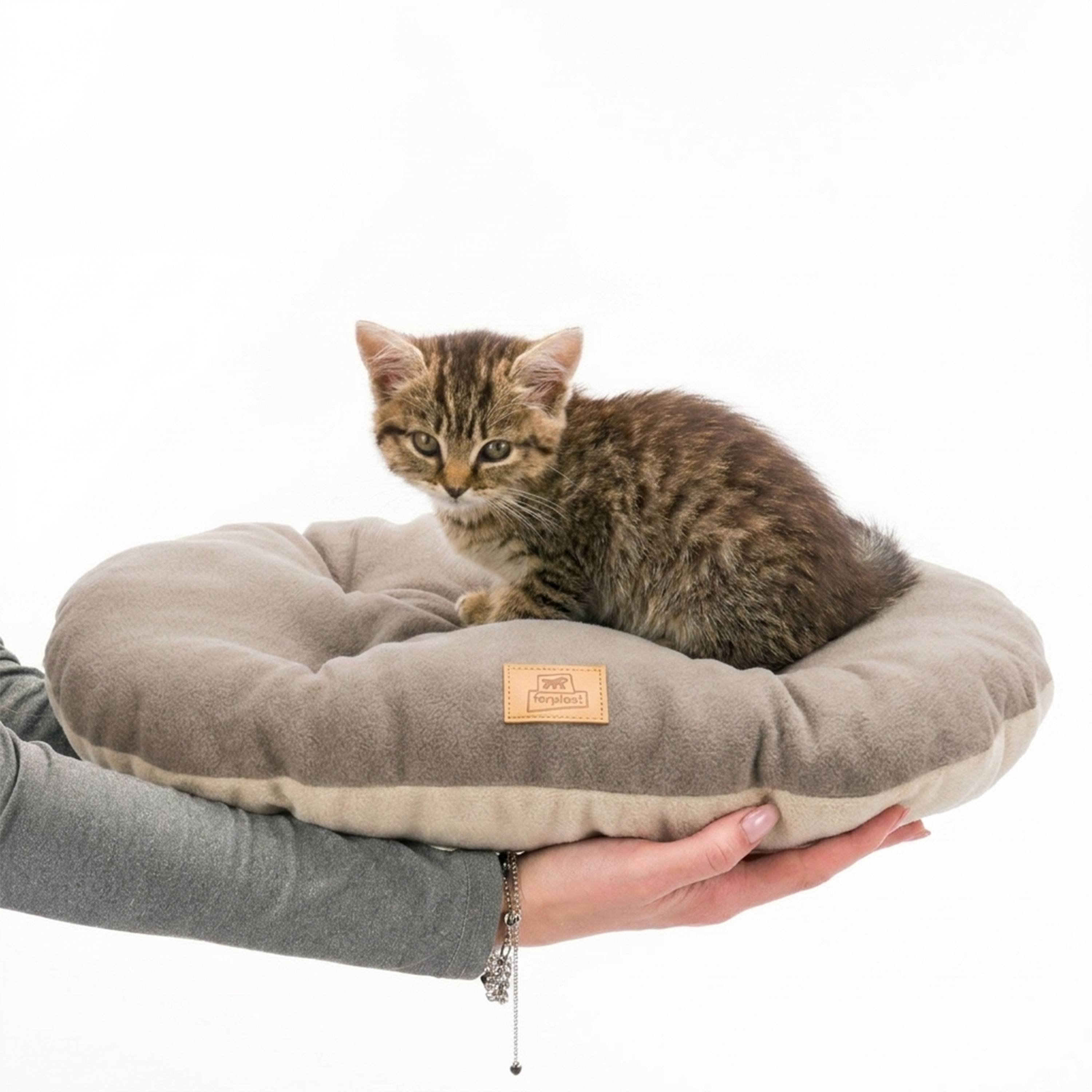 Ferplast - Ferplast Coussin Chien, Tapis Chien RELAX 45/2 MICROFLEECE, Coussin Chat, Lit pour Chiens Chats, Matelas Animaux, Coussin pour Panier Chien et Chat, - Image 6