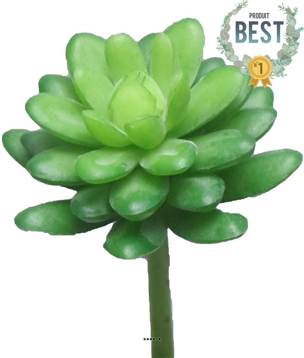 Artificielles - Echeveria elegans artificielle en piquet, H16 cm, D12 cm, Vert - BEST - couleur: Vert - Image 1