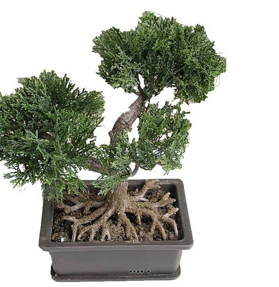 Mini bonsai artificiel en pot H 18,5 cm - Image 2