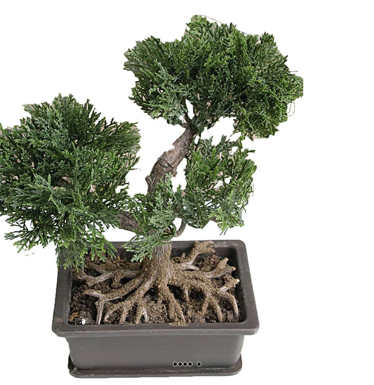 Mini bonsai artificiel en pot H 18,5 cm - Image 2