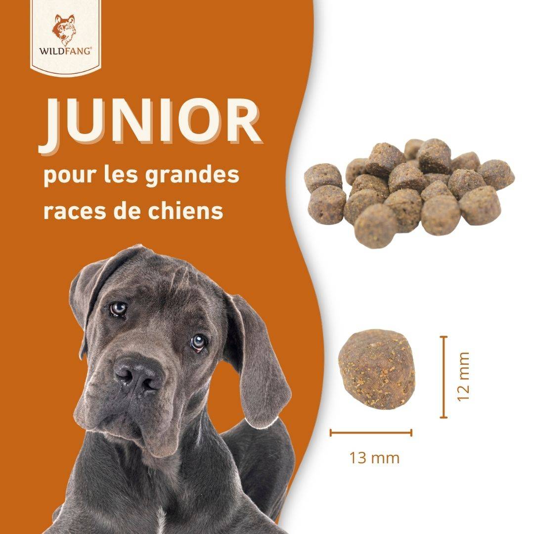 Wildfang - Wildfang Aliments secs juniors avec saumon pour chiots - sans céréales - 2 kg - Image 5