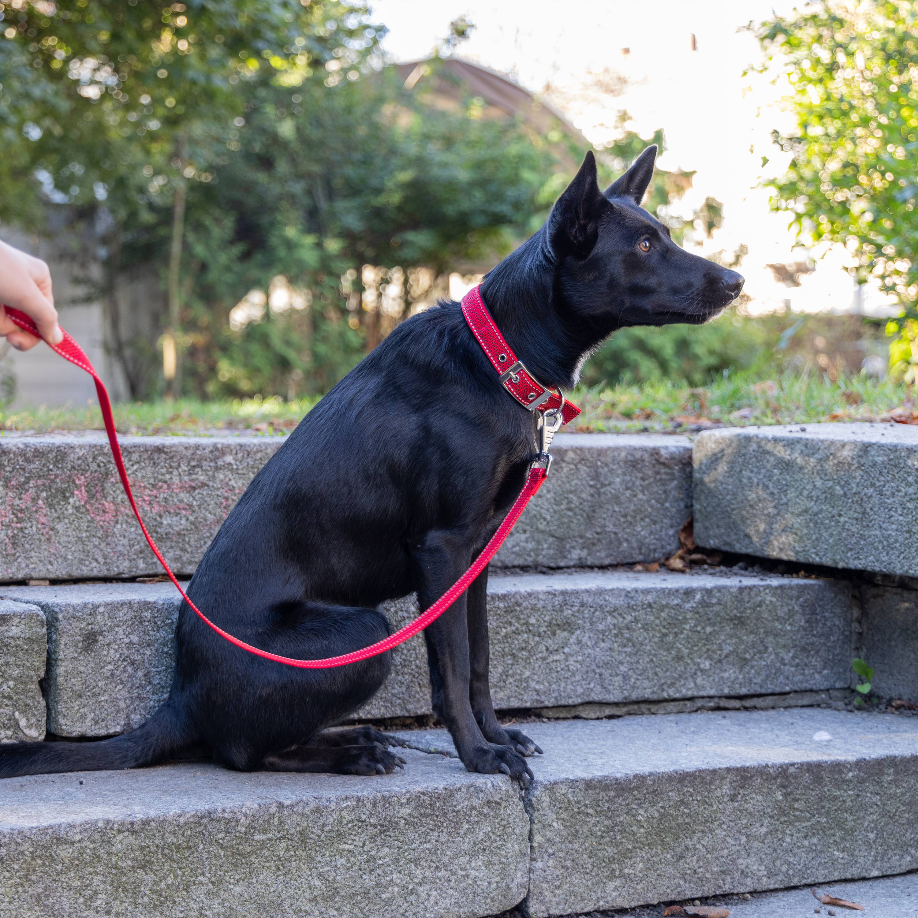 Ferplast - Collier pour Chiens Réfléchissant Rembourré DAYTONA DELUXE C25/45, Réglable, Boucle en Métal, Rouge-Noir - Image 3