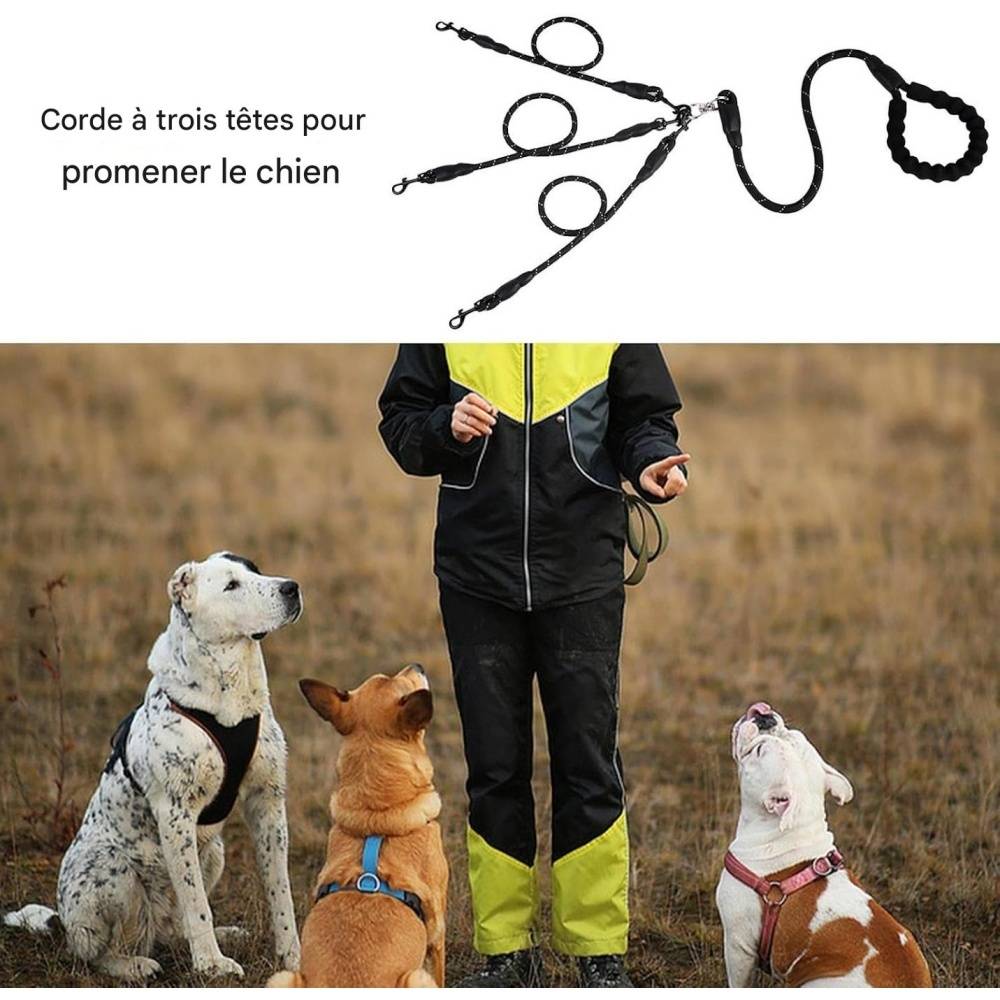 DtopbuyAge - Corde de traction pour chien avec boucle rotative 360° DtopbuyAge - Image 3