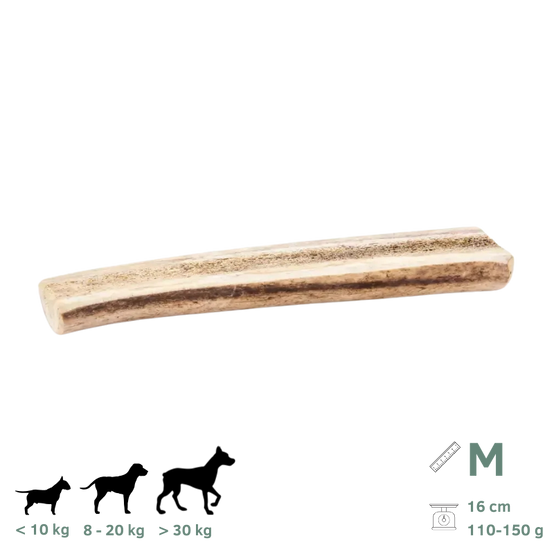Bois de Cerf Tranchés pour Chien M 110-150g - Image 1
