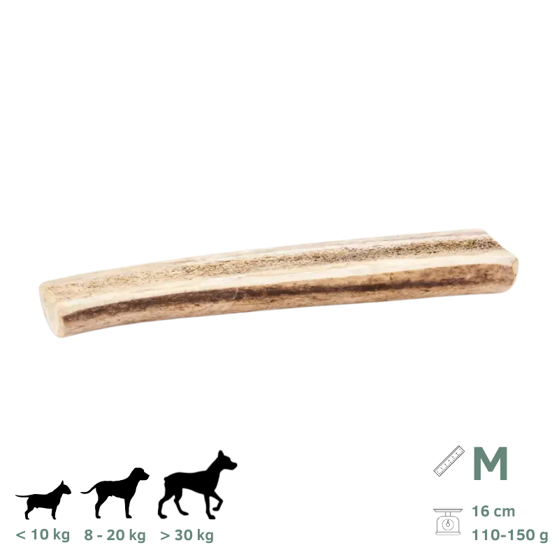 Bois de Cerf Tranchés pour Chien M 110-150g