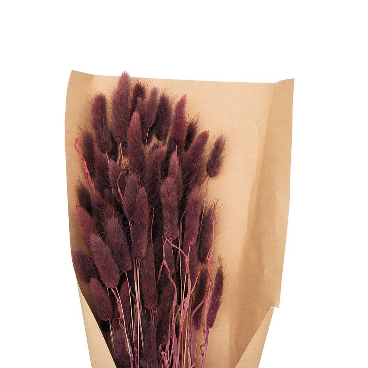 Bouquet de Fleurs "Queue de Lapin" 58cm Violet - Image 2