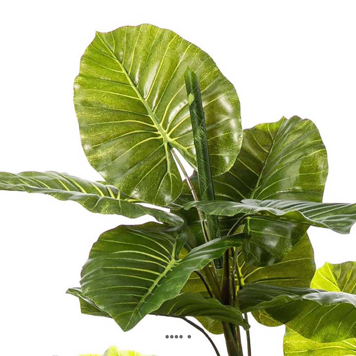 Artificielles - Syngonium artificiel en pot 2 troncs 19 grandes feuilles H 120 cm - Image 3
