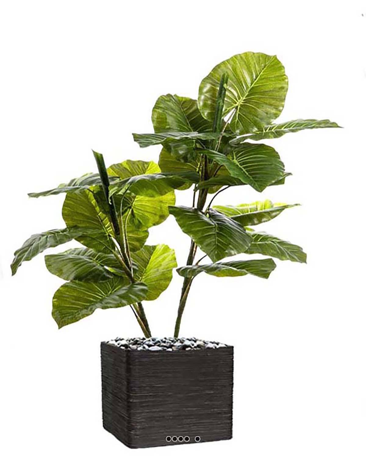 Artificielles - Syngonium artificiel en pot 2 troncs 19 grandes feuilles H 120 cm - Image 1