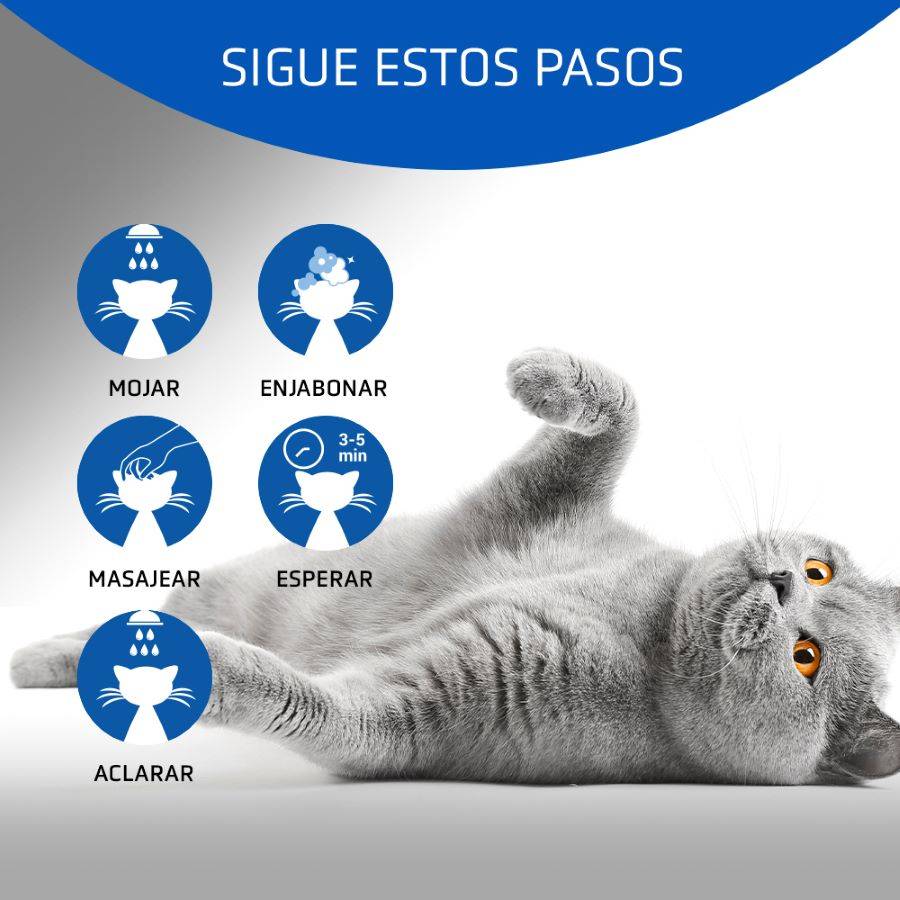 Artero 4Cats 250 Ml. Shampooing pour chats qui respecte parfaitement la peau et le pelage. - Image 4