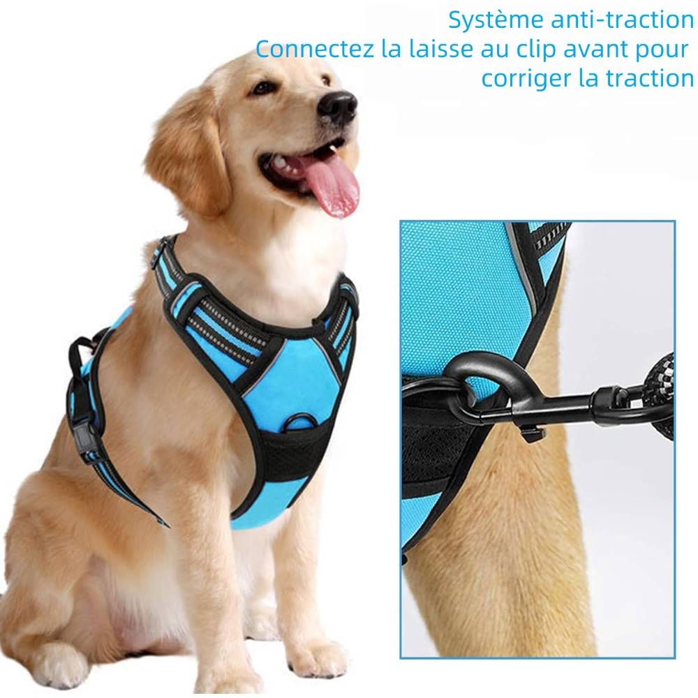 IntiMeg - Harnais Anti Traction pour pour Moyen Chien xl - IntiMeg - Image 4