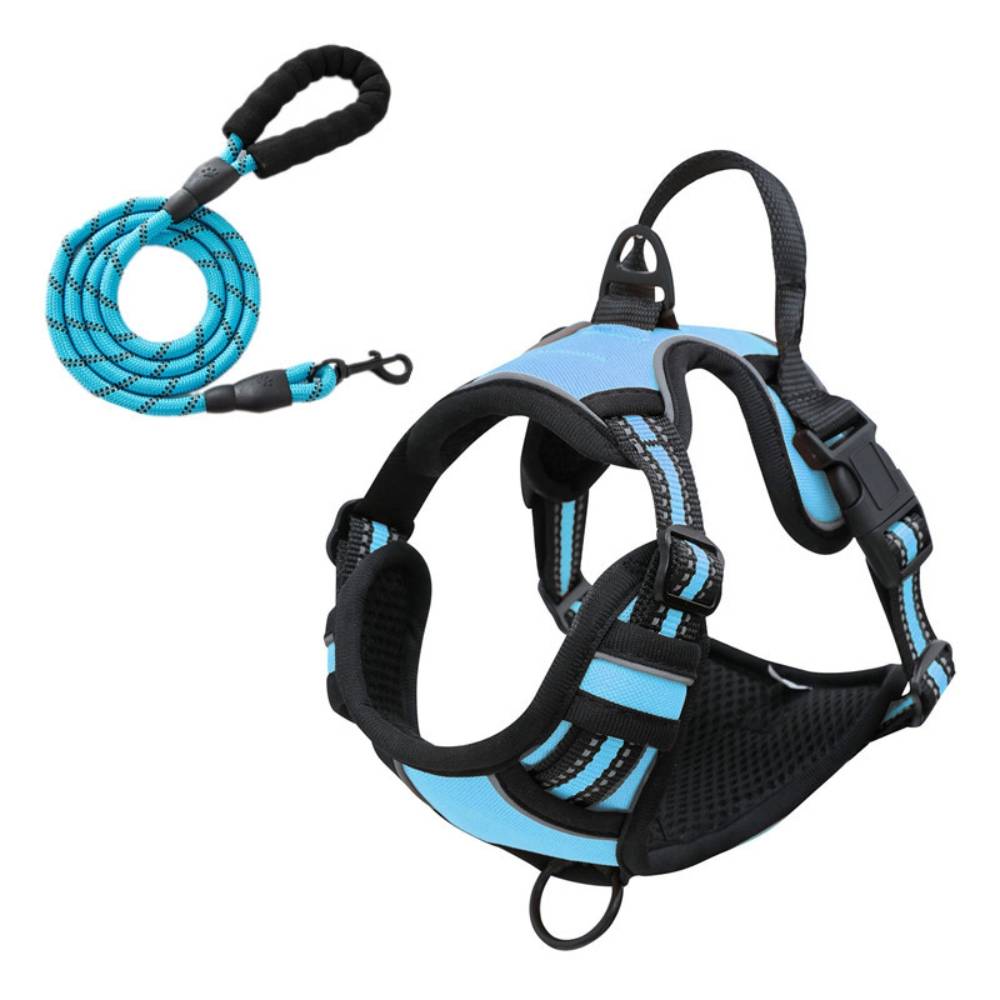 IntiMeg - Harnais Anti Traction pour pour Moyen Chien xl - IntiMeg - Image 5