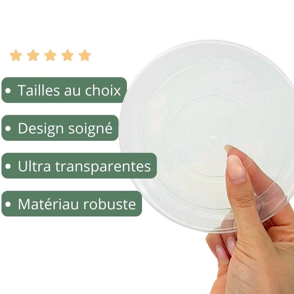 Soucoupes transparentes pour plantes - Soucoupes rigides - Coupelles pour plantes - X5 unités - Pot de 11cm - Image 7
