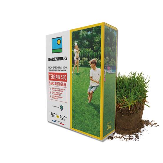 Gazon Terrain Sec sans arrosage - Résiste à la Chaleur et à la Sécheresse - Forte Réduction de l'Arrosage - Autoréparation Naturelle - 3KG - BARENBRUG - Image 1