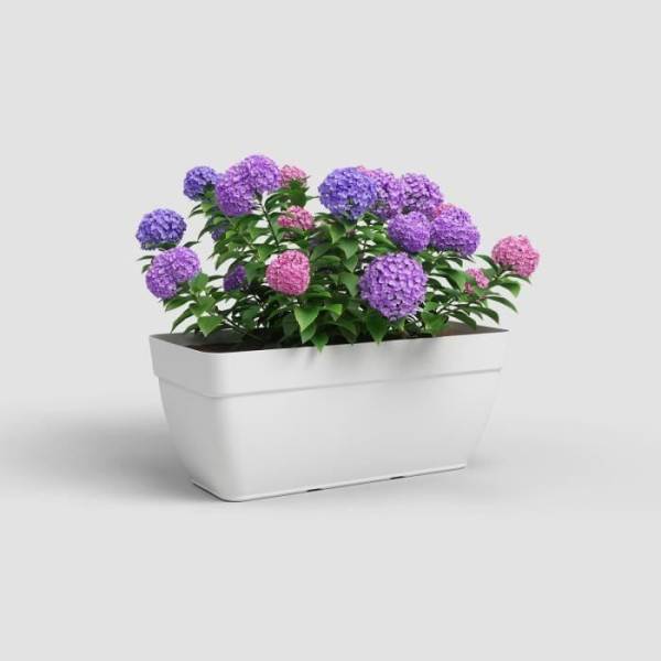 Artevasi - Jardiniere Capri Campana Xl - Plastique - 80 Cm - Blanc - Artevasi - Image 2