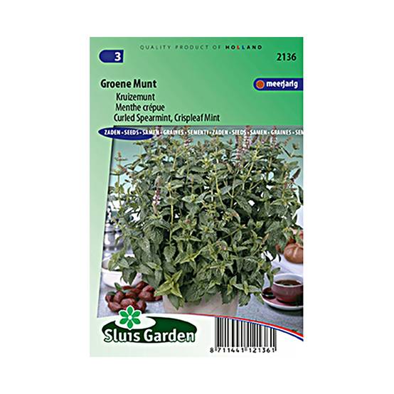 Promesse de Fleurs - Menthe frisée ou crépue - Mentha spicata Crispa le sachet de 1800 graines environ