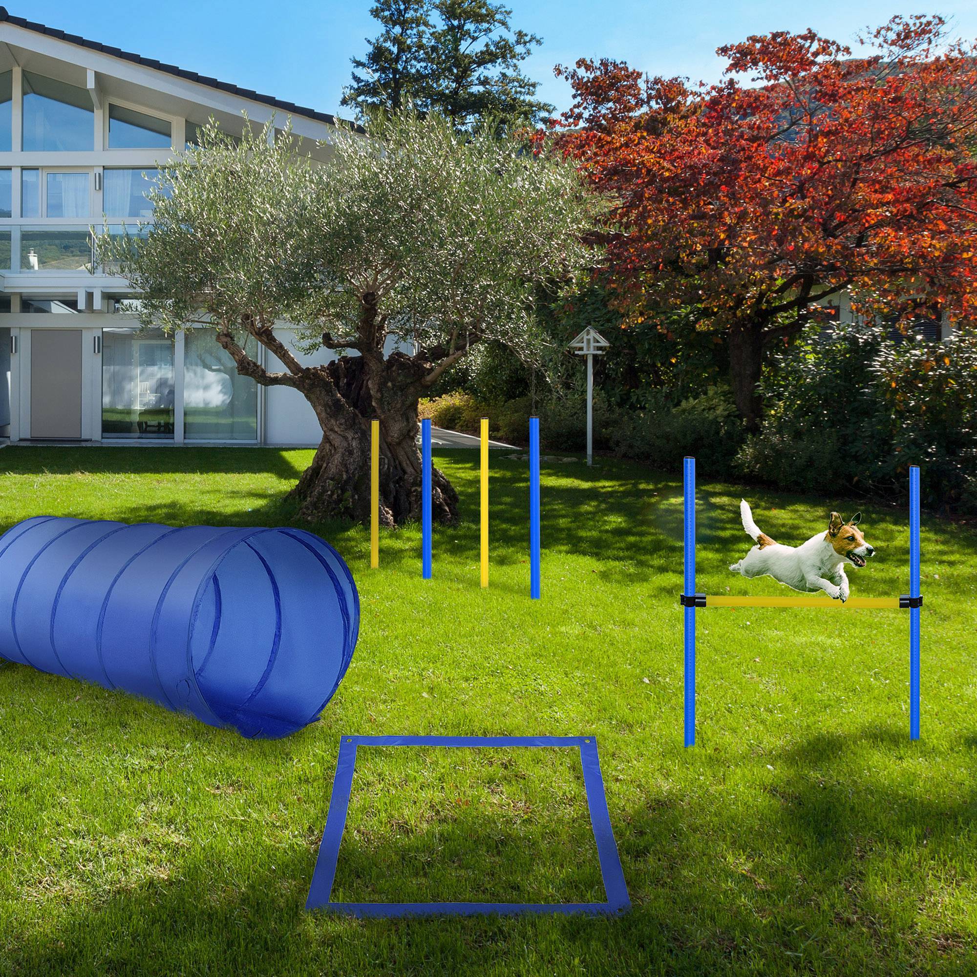 ComfortXL - Parcours agilité chien polyester bleu tunnel haie slalom réglable avec sacs - ComfortXL Outdoor Living - Image 4