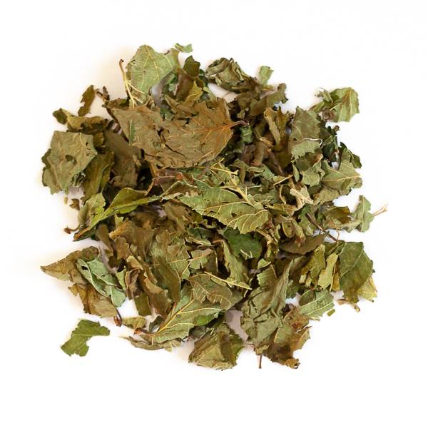 Feuilles de noisetier - 150 g - L'Eden des Pattounes