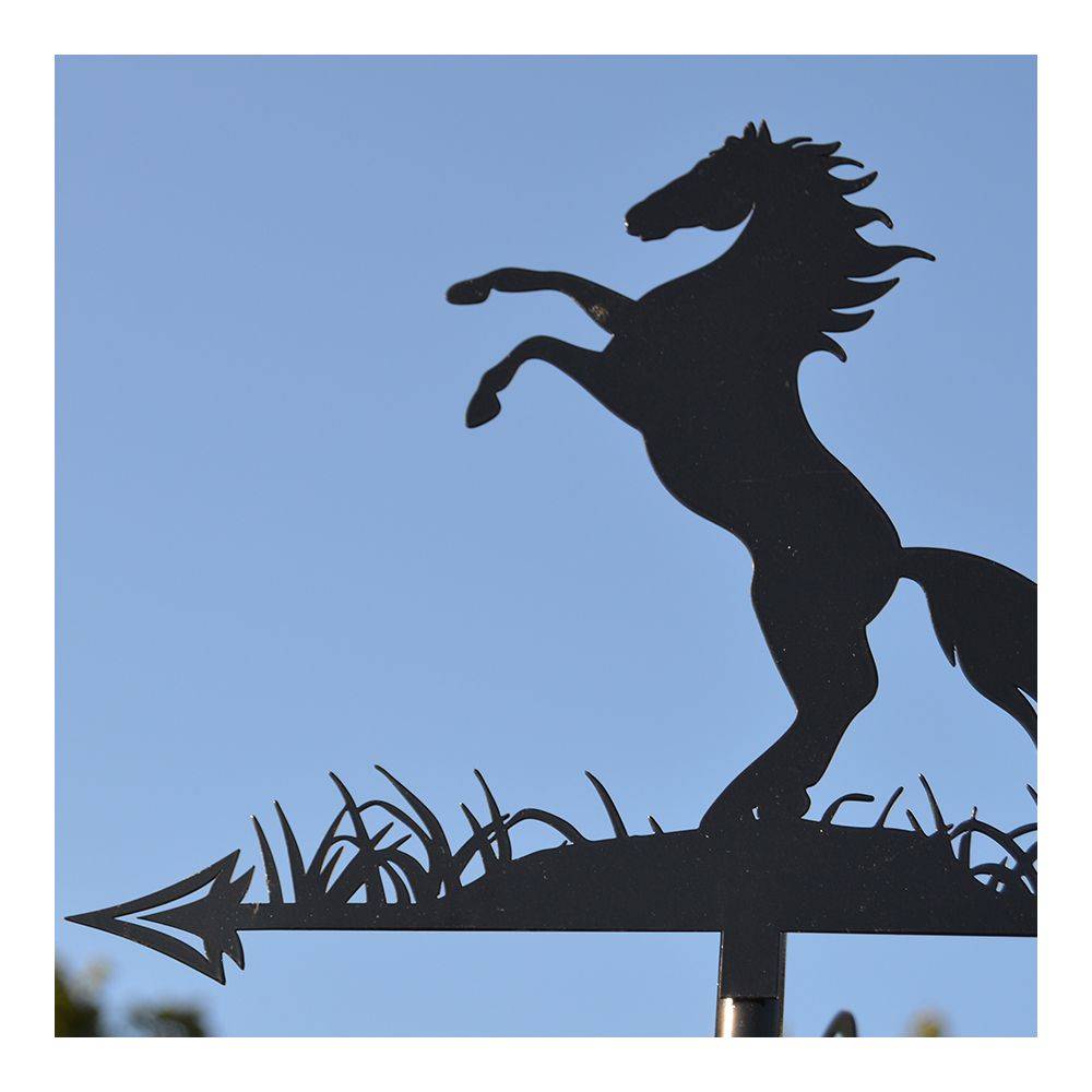 Primus - Girouette en acier noir silhouette Cheval cabré - Image 4