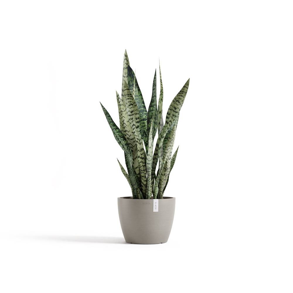 Ecopots - Pot Rond Stockholm 24 Taupe - Ø 23,2 x H. 17,6 cm - 5,4 L ECOPOTS - Image 1