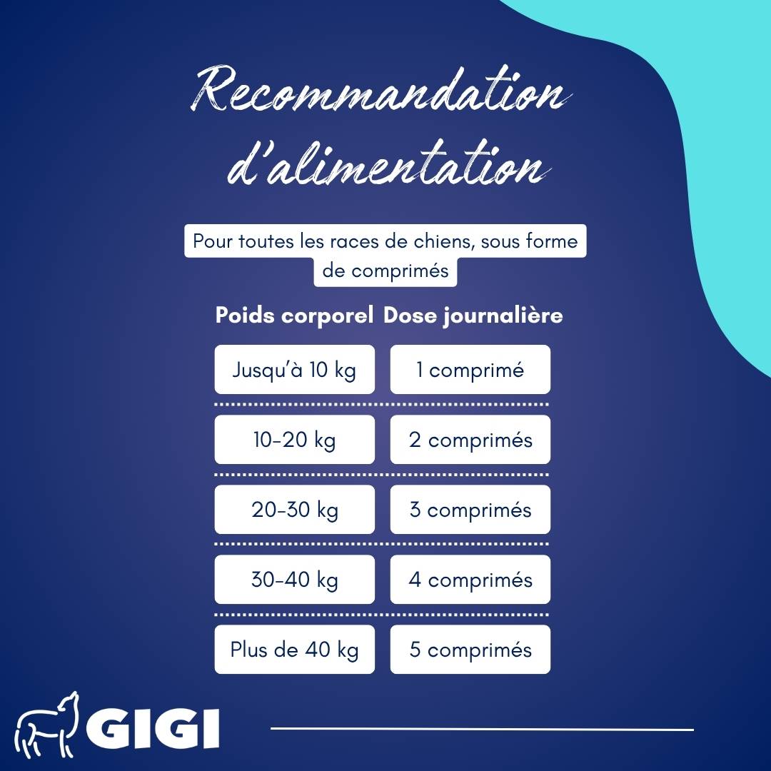 Articulations Chiens – Mobilité & Soutien – MSM & Boswellia 90 comprimés GIGI VET - Image 4