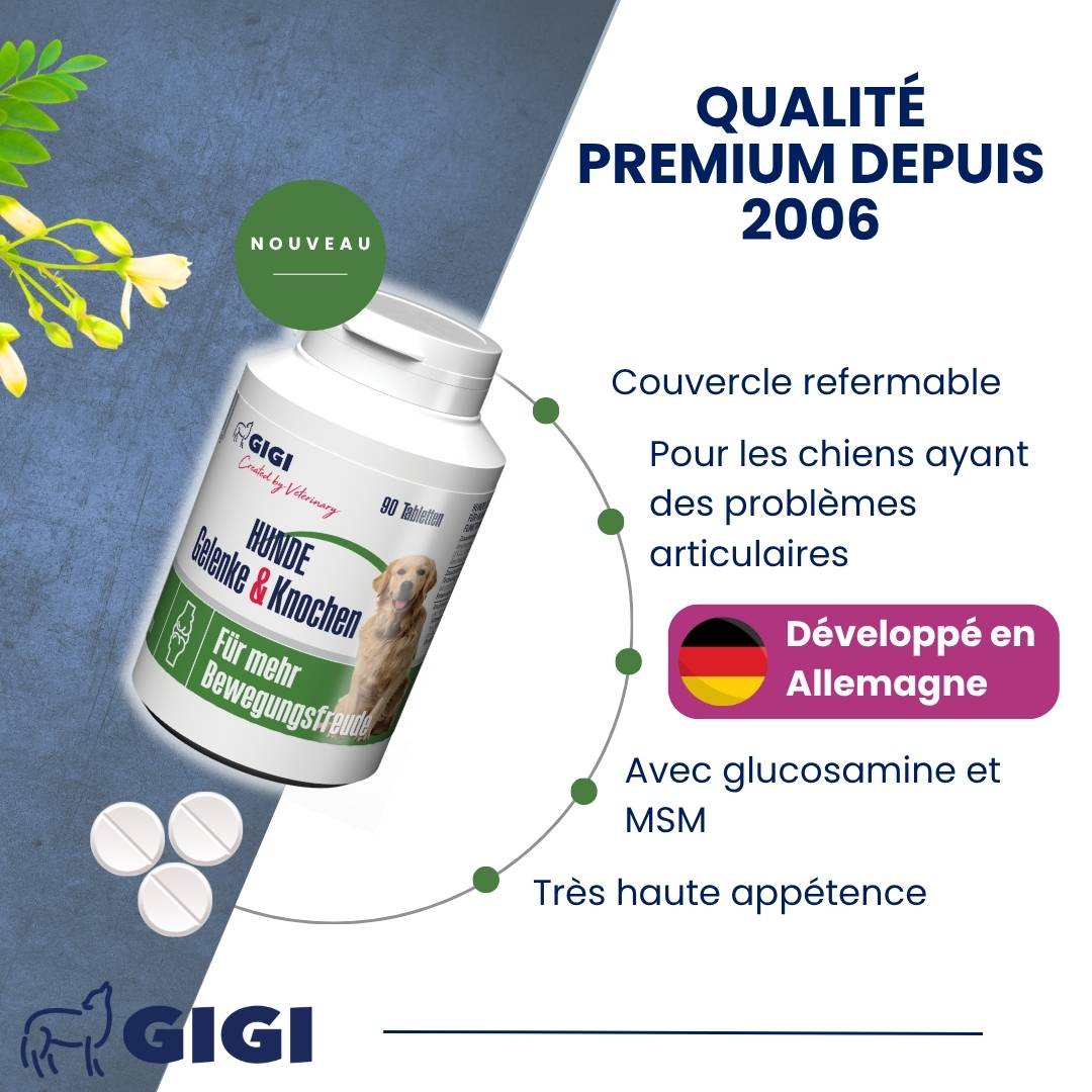 Articulations Chiens – Mobilité & Soutien – MSM & Boswellia 90 comprimés GIGI VET - Image 3
