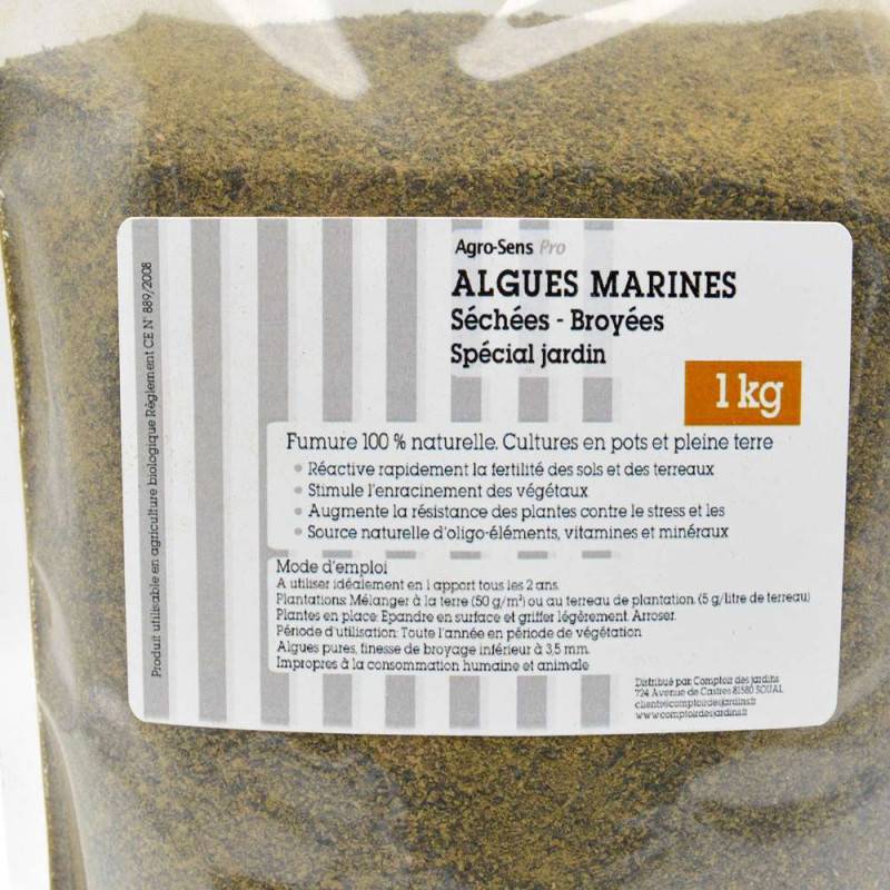 Algues pures en poudre pour le jardin - Sachet 1 kg - Image 2