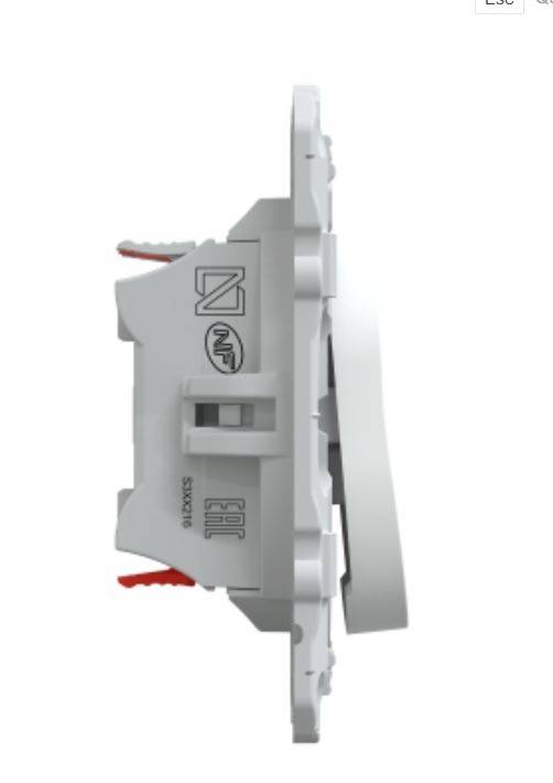 Schneider Electric - Mécanisme double poussoir OVALIS blanc 10 AX - SCHNEIDER ELECTRIC - S320216 - Image 2
