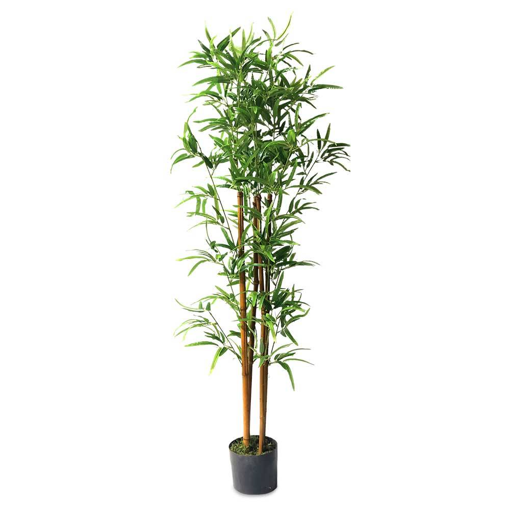 Sans Marque - Bambou artificiel réaliste 60 cm Vert - Image 2