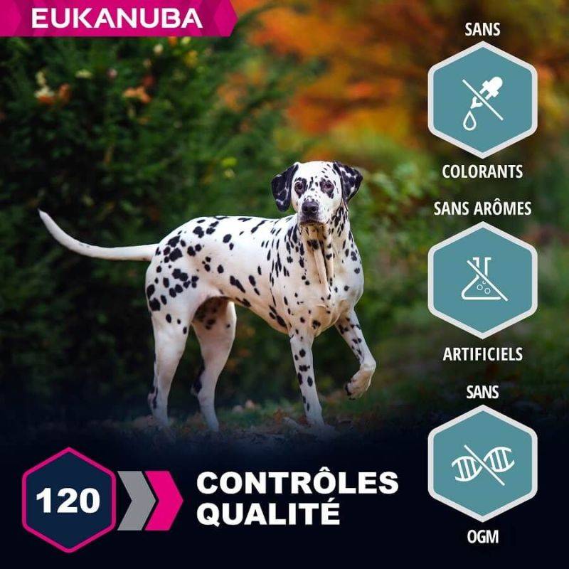 Eukanuba - CROQUETTES CHIEN ADULT SAUMON LARGE - EUKANUBA 12 kg - Image 3