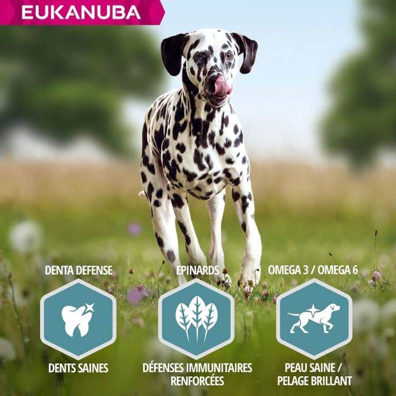Eukanuba - CROQUETTES CHIEN ADULT SAUMON LARGE - EUKANUBA 12 kg - Image 5