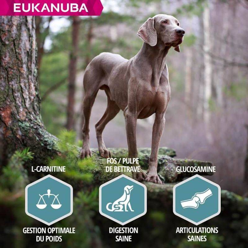 Eukanuba - CROQUETTES CHIEN ADULT SAUMON LARGE - EUKANUBA 12 kg - Image 4