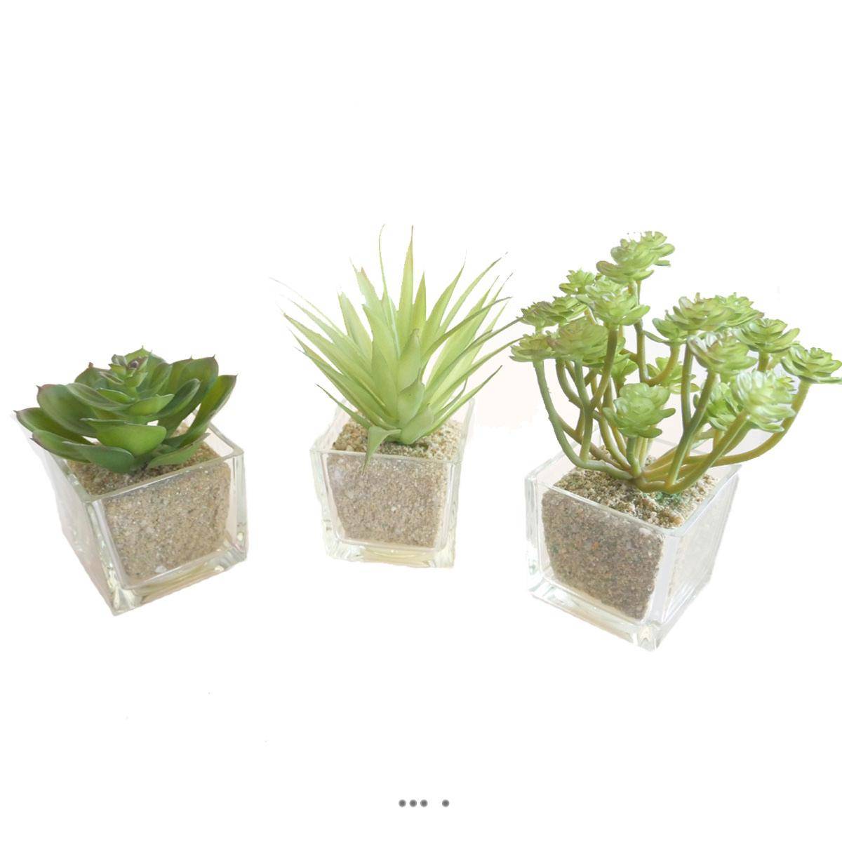 Artificielles - Agave Succulente cactée lot de 3 en pot verre H 9-16 cm Vert Type A - couleur: Vert - div: A - Image 1