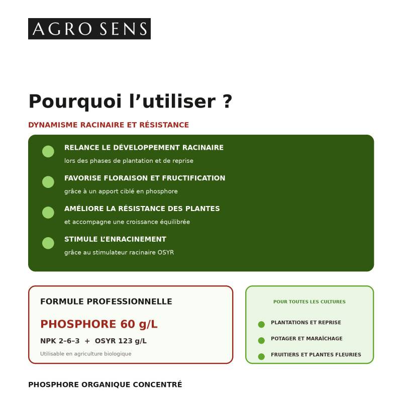 Phosphore organique, formule liquide concentrée - Agro Sens - 1 litre (500 litres de préparation) - Image 2