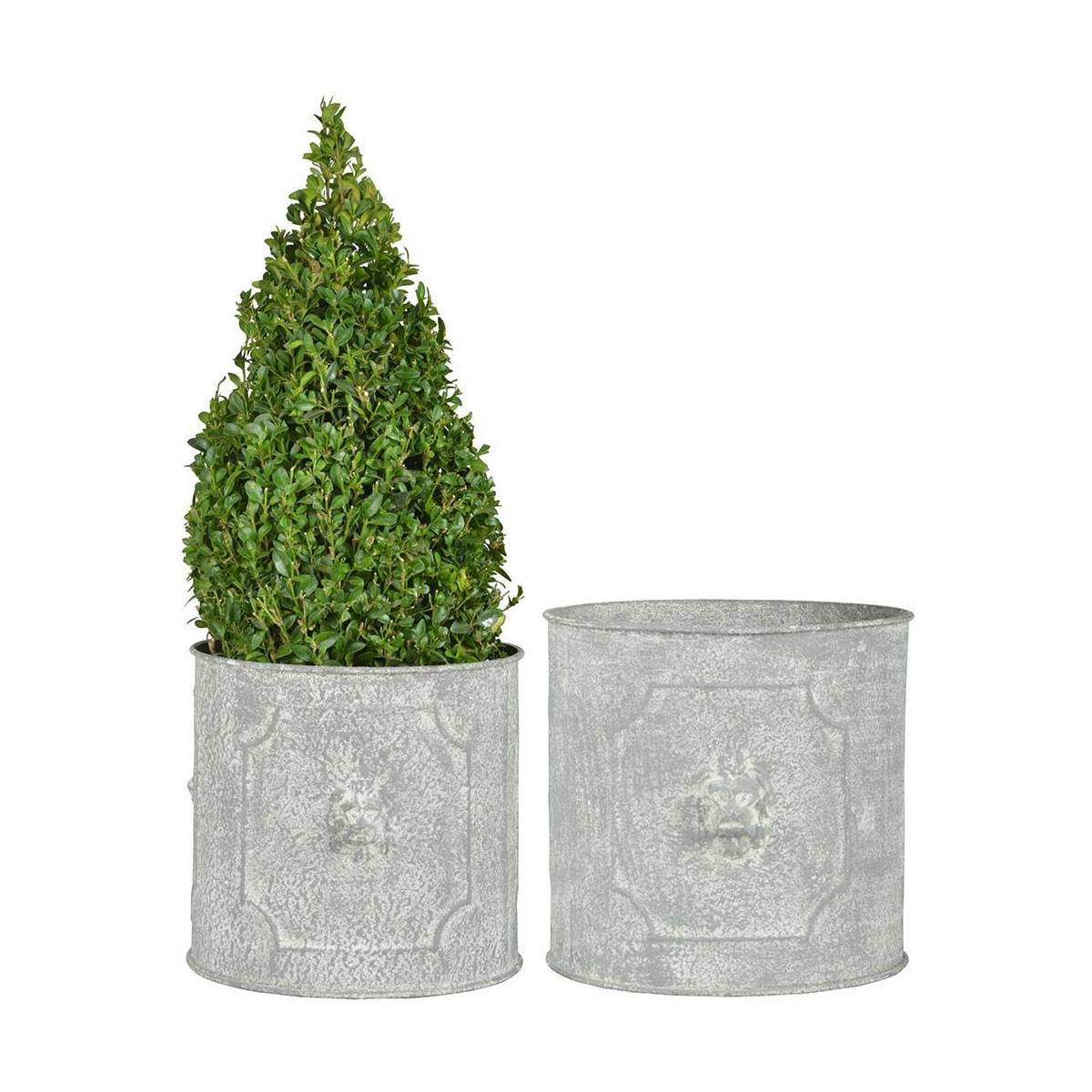 Esschert Design - Pot de fleurs ronds Lion (Lot de 2) - Image 1