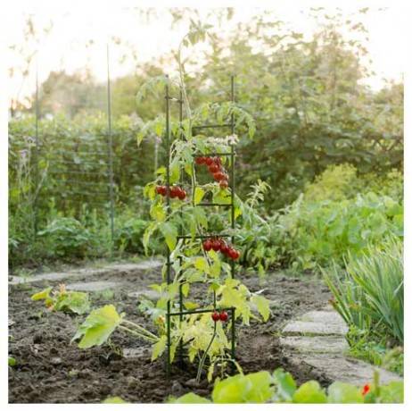 Tuteur triangulaire à tomates - Image 1