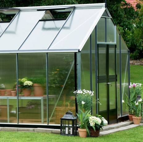 Juliana - Serre en polycarbonate 18,8 m² Gartner, anthracite - Juliana - Image 5