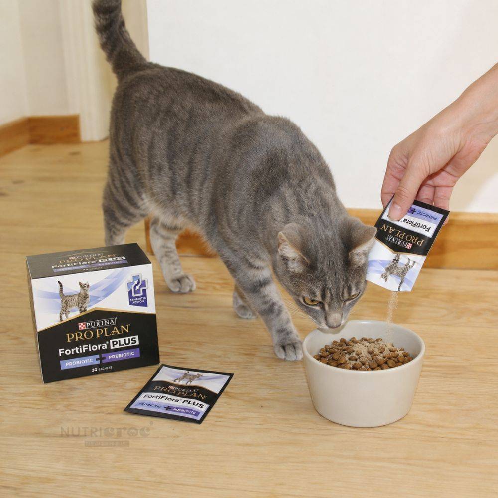 Proplan - Pro Plan Fortiflora Plus pour chat - 30 sachets - Image 2