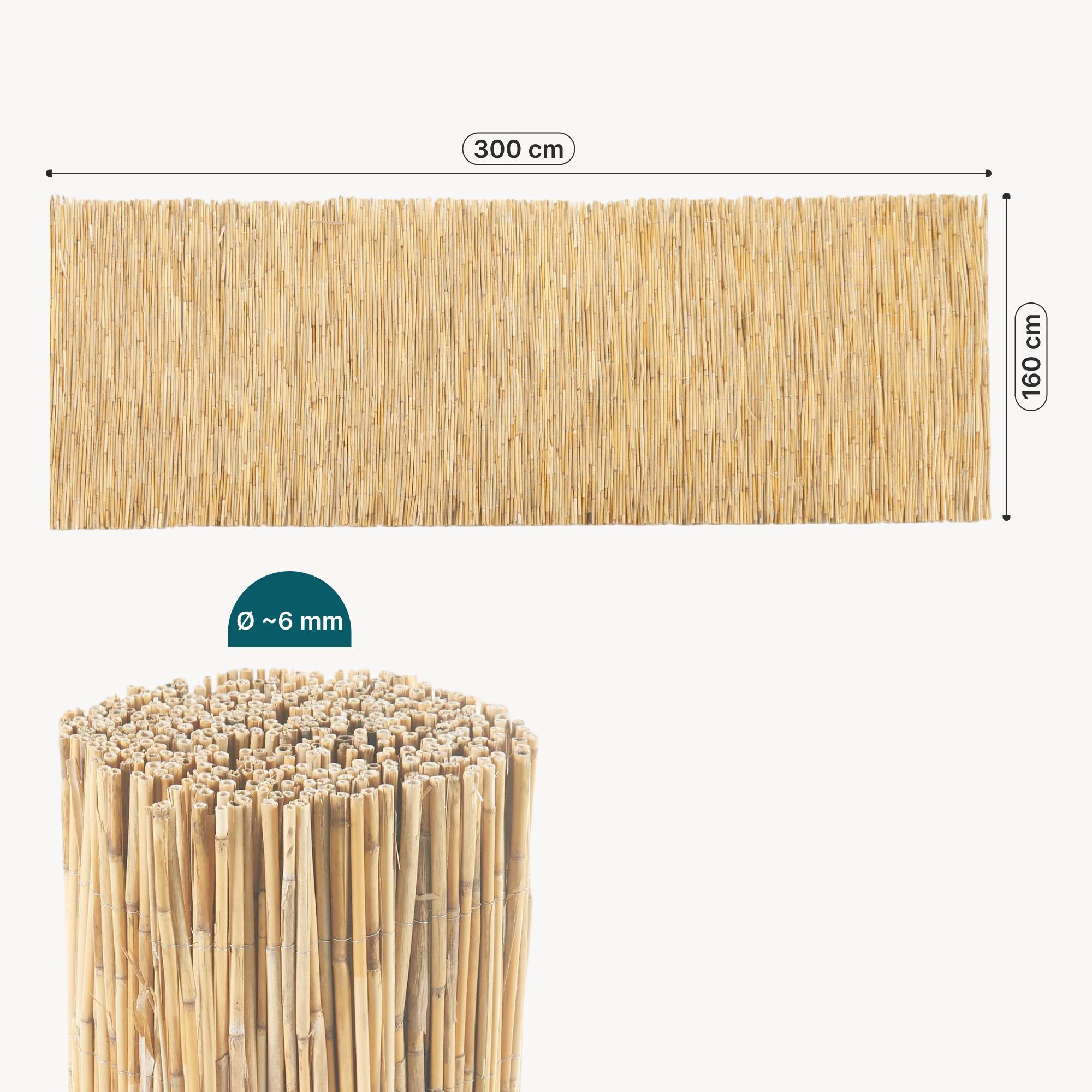 Casa.Pro - Canisse en roseau Abbateggio 160 x 300 cm naturel casa.pro - Image 8
