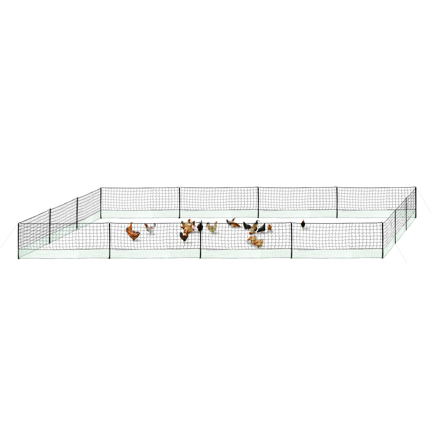 IDMARKET - Kit clôture filet à poules 50 M avec porte 15 piquets double pointe - Image 9