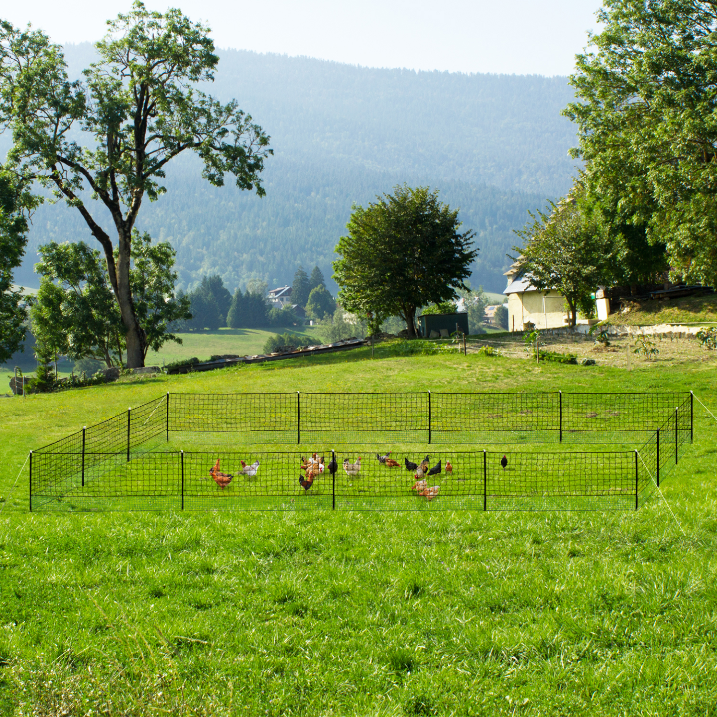 IDMARKET - Kit clôture filet à poules 50 M avec porte 15 piquets double pointe - Image 8
