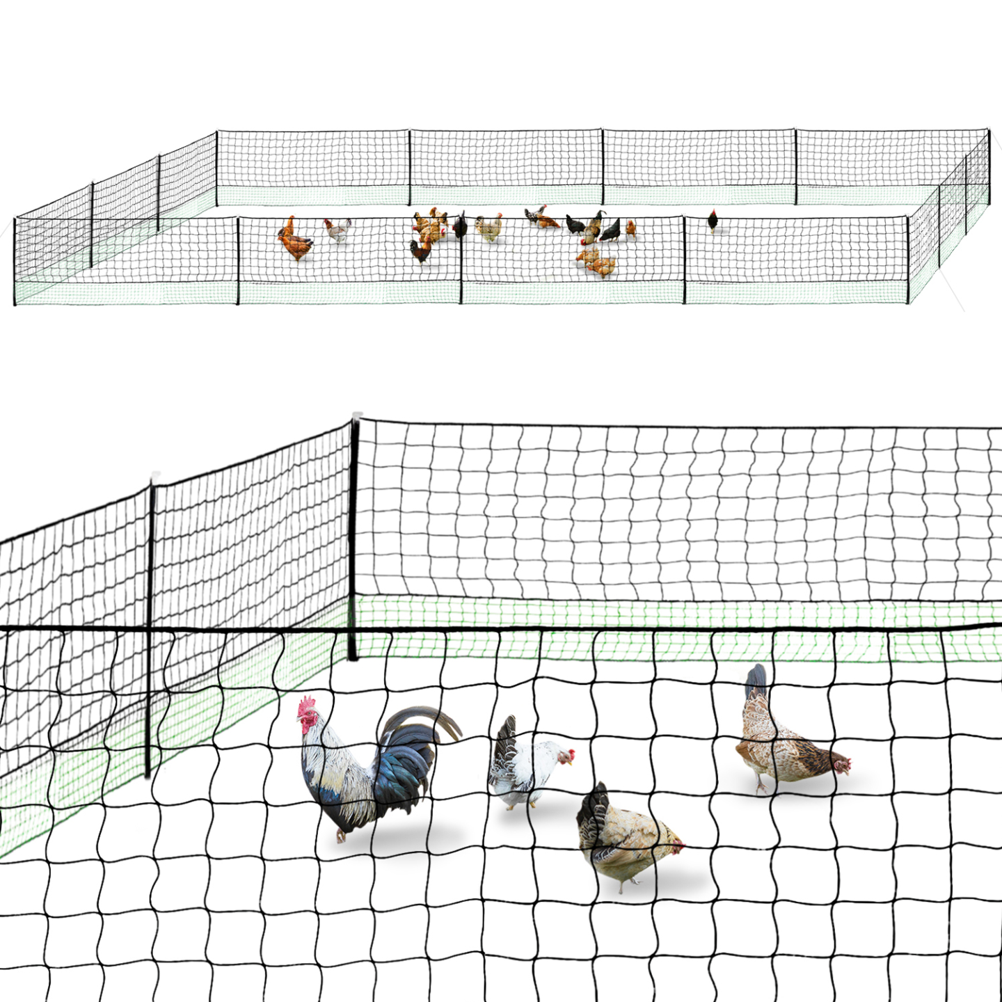 IDMARKET - Kit clôture filet à poules 50 M avec porte 15 piquets double pointe - Image 2
