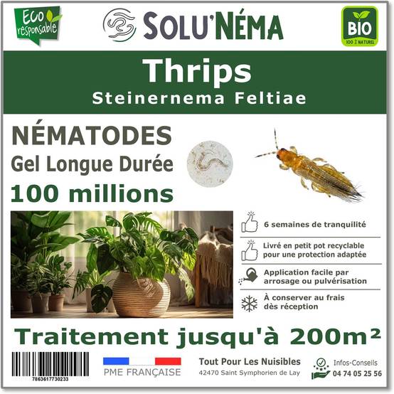 Solunéma - Thrips - Traitement à base de nématodes Steinernema Feltiae (SF) - 100 millions pour traiter jusqu'à 200 m² - Image 1