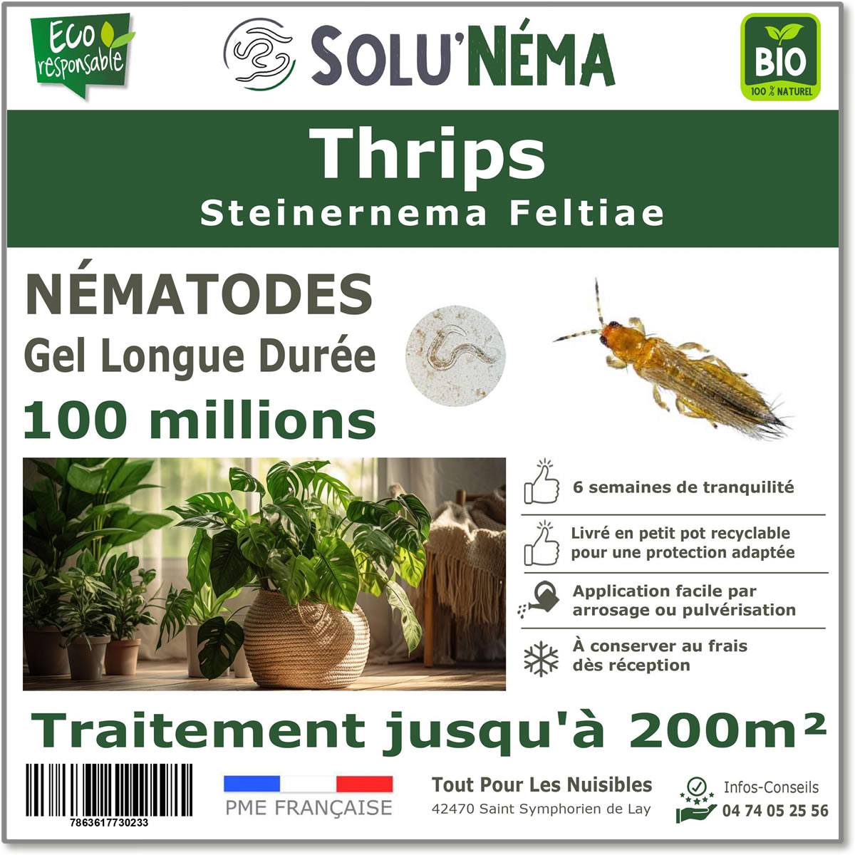 Solunéma - Thrips - Traitement à base de nématodes Steinernema Feltiae (SF) - 100 millions pour traiter jusqu'à 200 m²