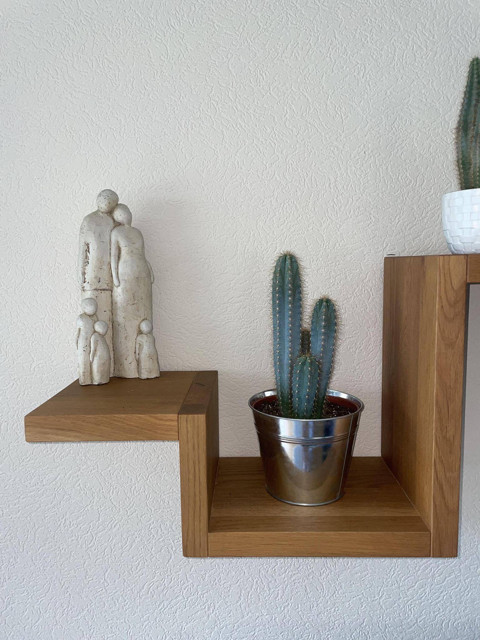 Pilosocereus Azerues en Pot de Zinc- La Green Touch - Image 3