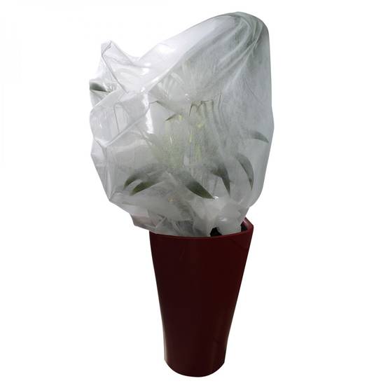 Linxor - Lot de 2 housses de protection pour plantes - 1.60 x 2 m - 30g/m2 - Blanc - Linxor - Image 1
