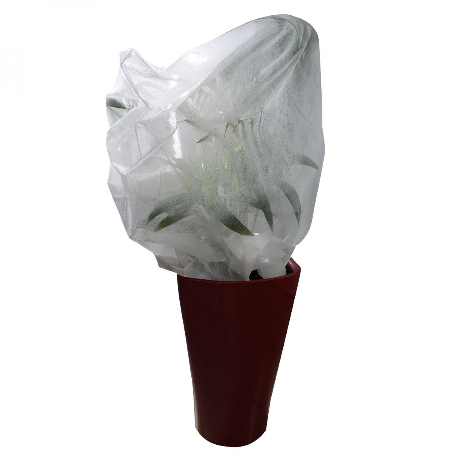 Linxor - Lot de 2 housses de protection pour plantes - 1.60 x 2 m - 30g/m2 - Blanc - Linxor - Image 1